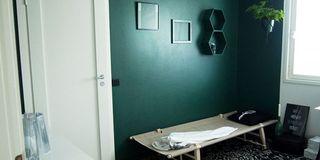 MAALIPESU, čistiaci prostriedok, TIKKURILA