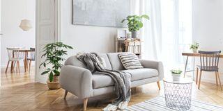 FINKOLORA WALL PRIMER, hĺbkový penetračný náter