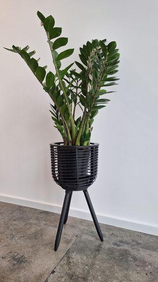 PLASTIC PRIMER, základný sprej na plasty, MASTON