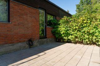 Štetec plochý ELITE, ANZA